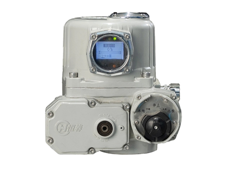 Marine Electric Actuators.jpg
